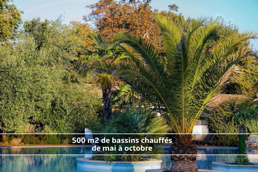 Willa Chalet T3/Clim/Wifi/Pkg/Terrasse/15 Min Plages La Teste-de-Buch Zewnętrze zdjęcie